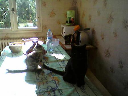 lili et felix